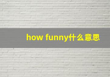 how funny什么意思